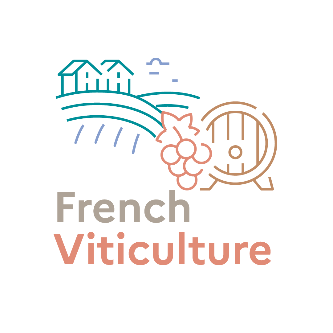 oiv_congress's tweet photo. 🍇Discover key facts about French viticulture! From diverse terroirs to innovation, it's at the heart of our heritage and economy.

📅 Can't wait to connect at the 45th World Congress of Vine and Wine! 🌍 https://t.co/M5ZjnYJkKL
