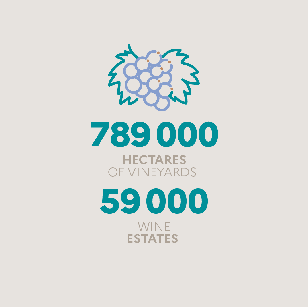 oiv_congress's tweet photo. 🍇Discover key facts about French viticulture! From diverse terroirs to innovation, it's at the heart of our heritage and economy.

📅 Can't wait to connect at the 45th World Congress of Vine and Wine! 🌍 https://t.co/M5ZjnYJkKL