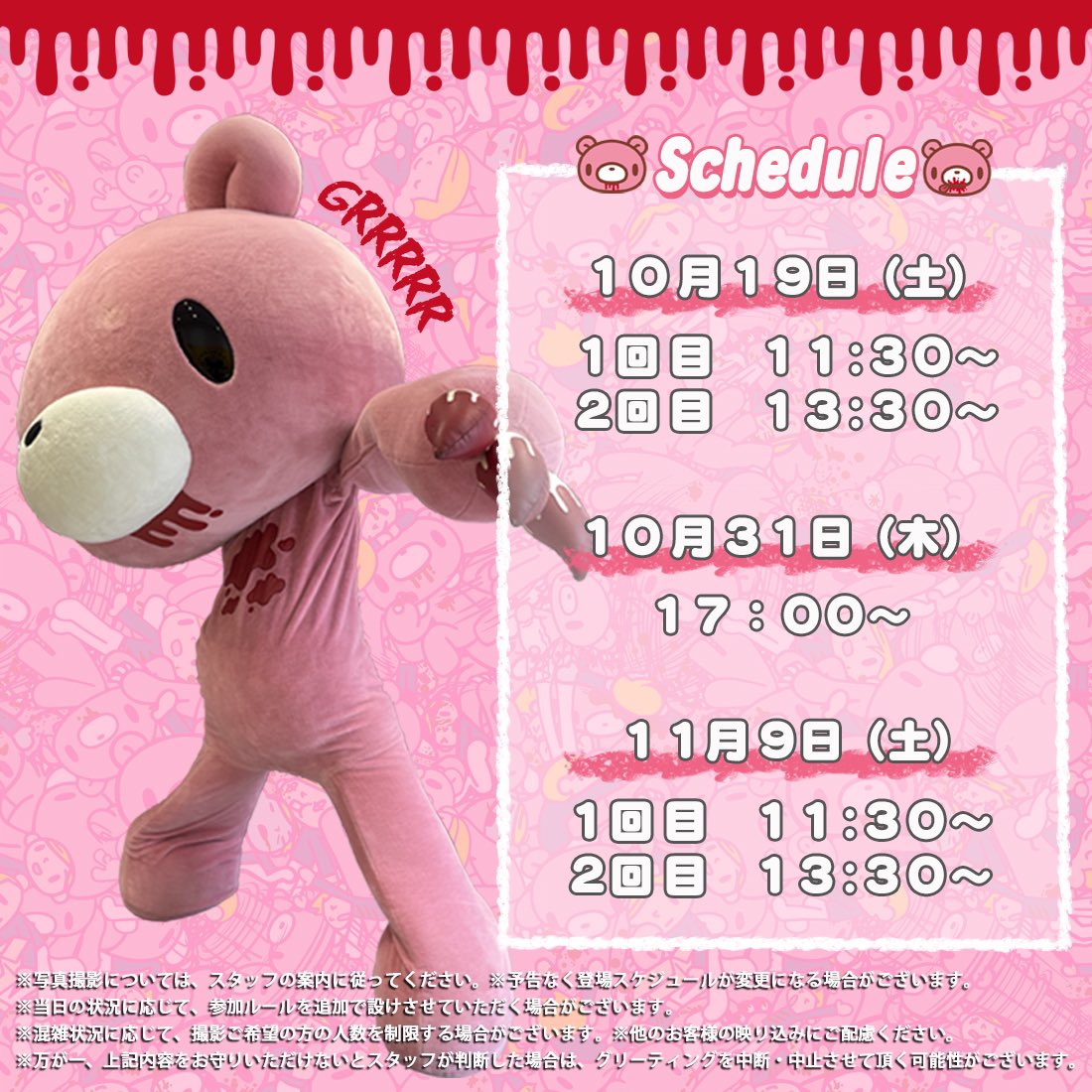 グリーティングイベント開催決定🐻🎉 ＼ 原宿のPOP-UP STOREに グル