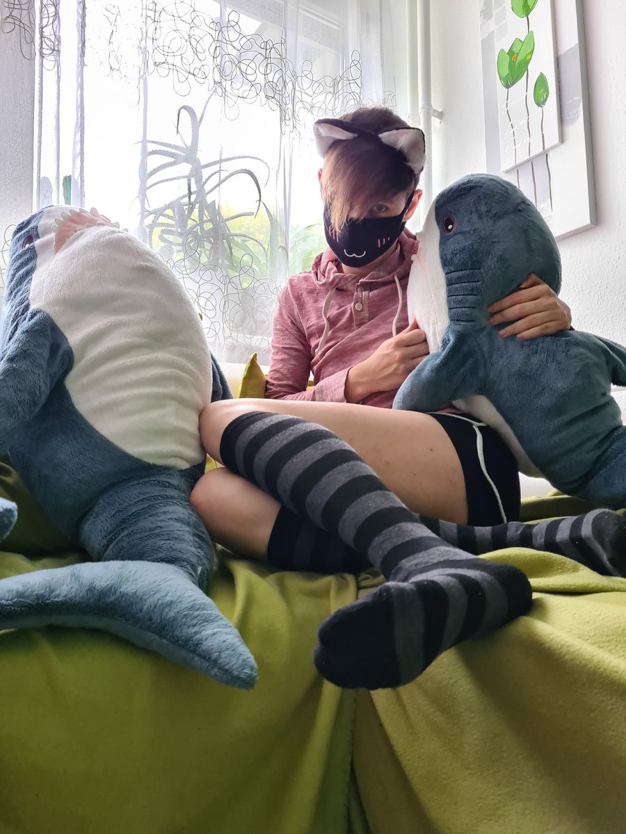 Splatty 🚈🇩🇪 tweet media