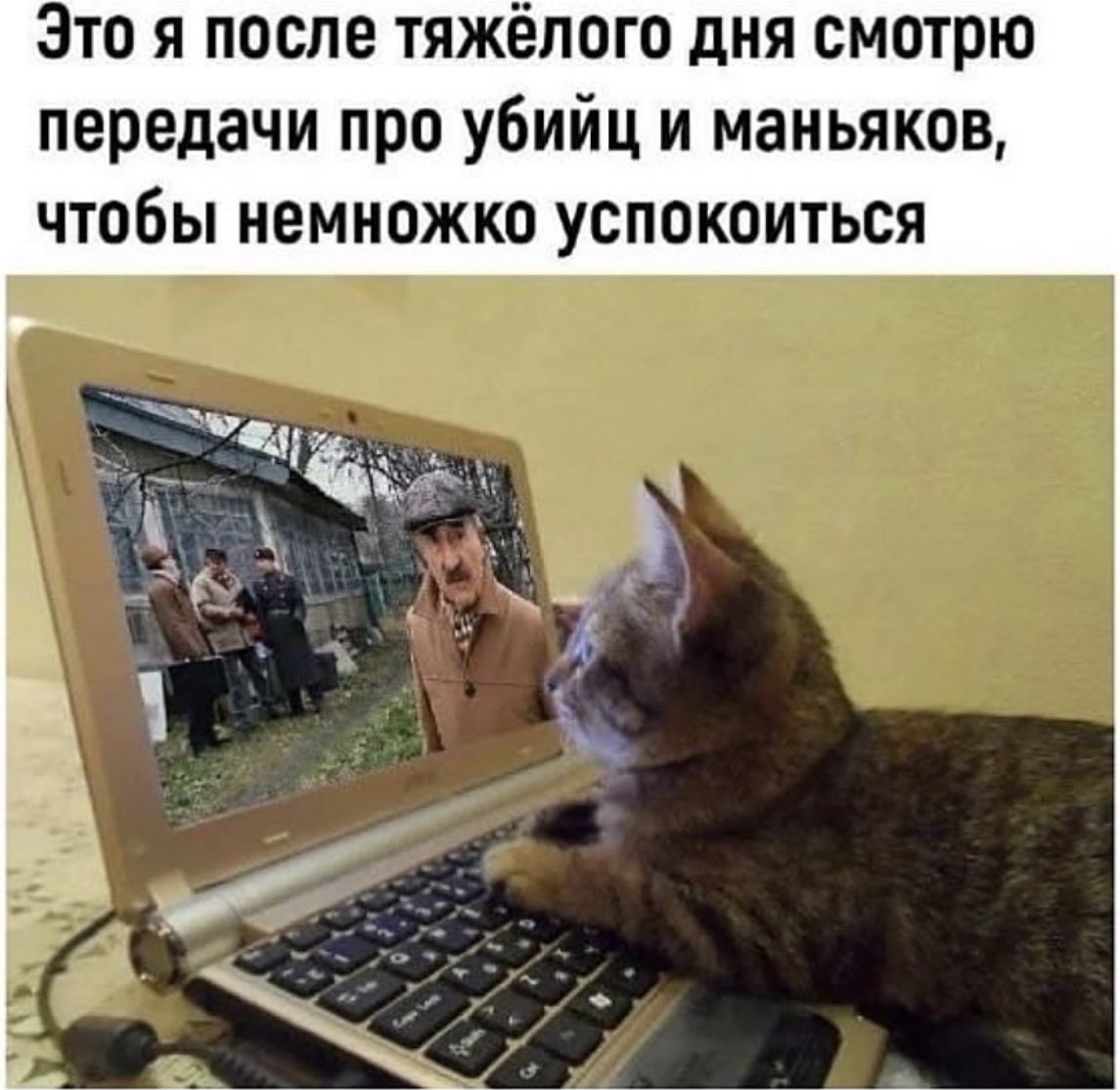 Артём Трещенко (@treschenko24) on Twitter photo 