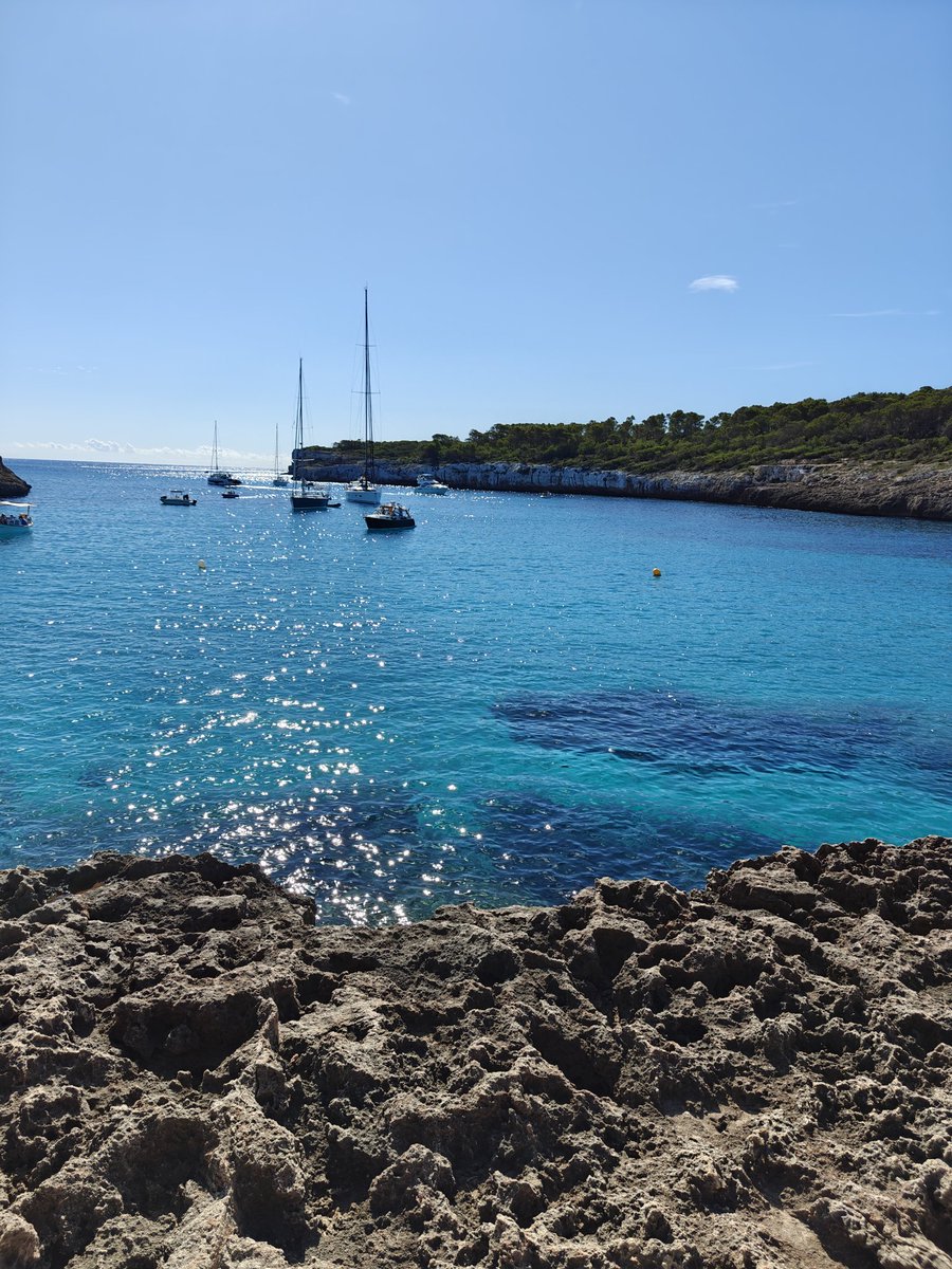 Rasmus Kopp Hansen tweet media