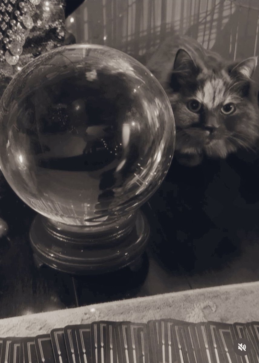 🖤🐈‍⬛✨ 🔮so excited for our Halloween event stream later this month. It’ll be a stream to let out our inner witch. We have a trick or treat cauldron of mysteries, potion making, and skull collecting. 

P.S, See you guys tomorrow for our first play through of Silent Hill 2 👀