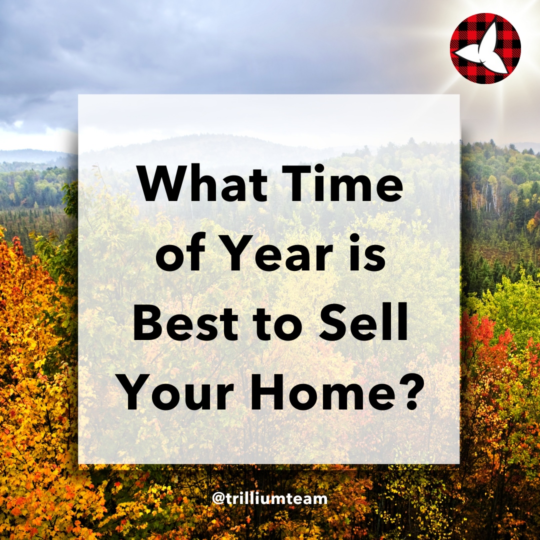 trilliumteam's tweet photo. Did you know houses sell much faster in the summer? Warmer weather &amp; beautiful sunshine make properties more appealing to buyers! ☀️

#SummerSelling #RealEstateTips #TrilliumTeam #DidYouKnow #FunFact #HaliburtonRealEstate https://t.co/y1mbKxSJtn