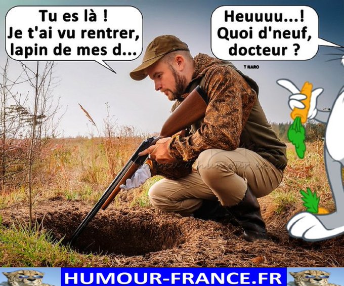 text alternatif