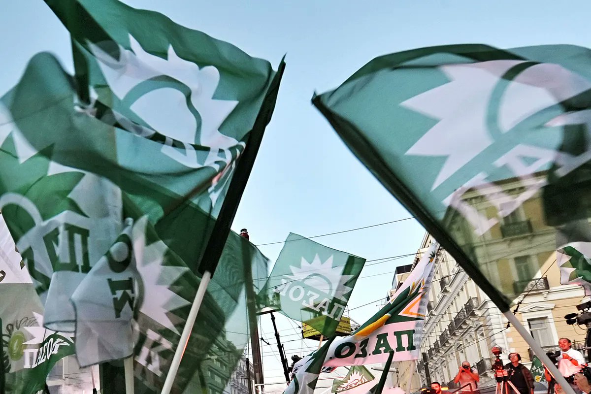 Zoe Schneeweiss tweet media