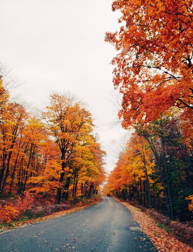Airfemale14's tweet image. 🇺🇲 My Cottage Road 🧡
#Fall2023 🍁🍂🍁🍂