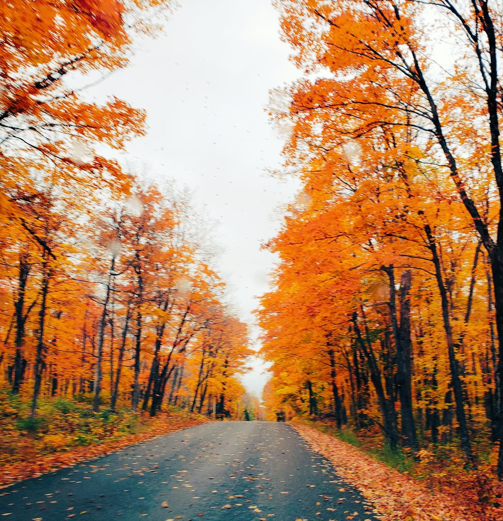 Airfemale14's tweet image. 🇺🇲 My Cottage Road 🧡
#Fall2023 🍁🍂🍁🍂