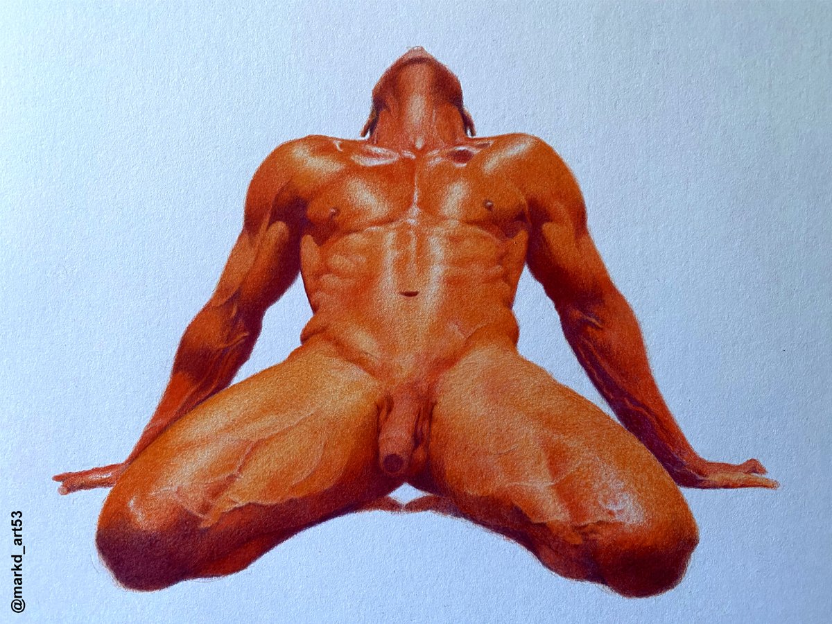 Completed this stage of the drawing. Will eventually do a background when inspiration strikes.
#progressdrawing #pencildrawing #colourpencilart #colorpencilart #mansanatomyinart #maninart