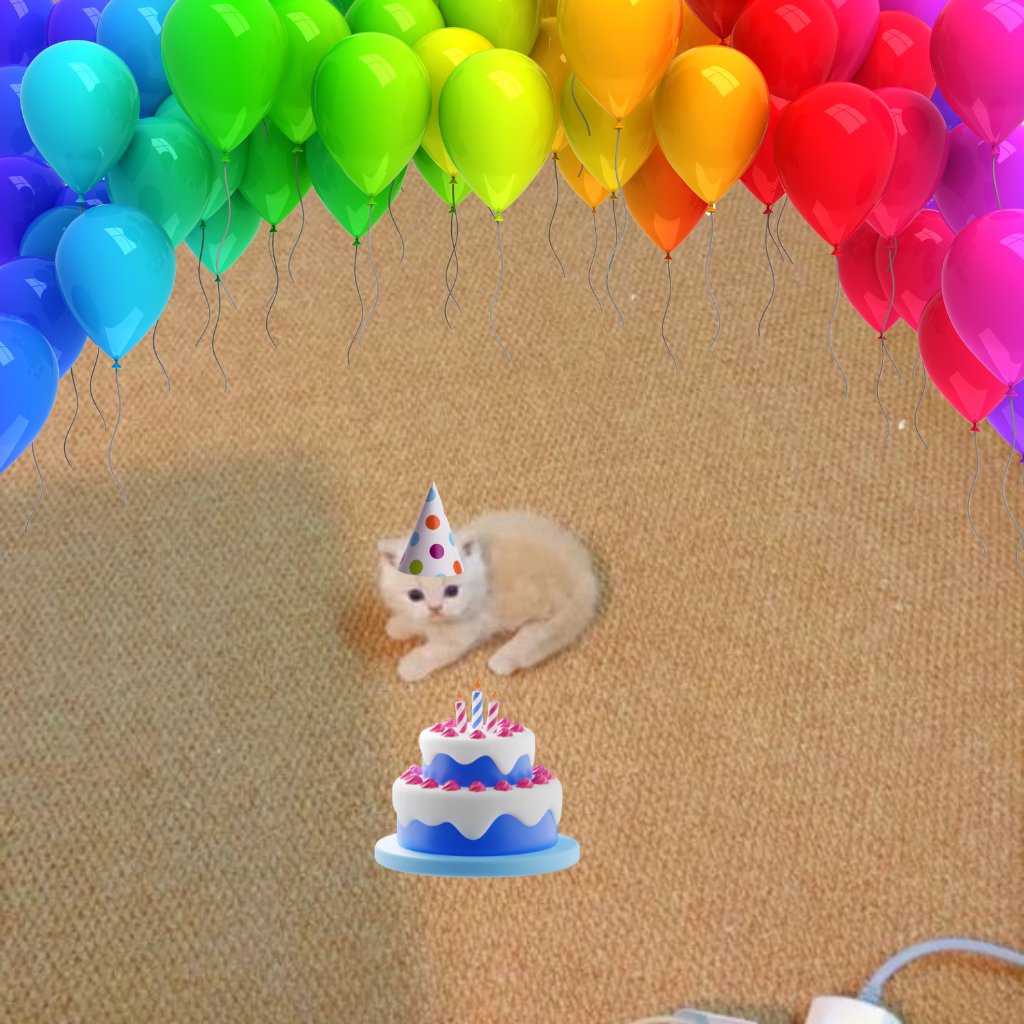 tinymightysol's tweet photo. its someone's birthday https://t.co/fWxxL38Sfo