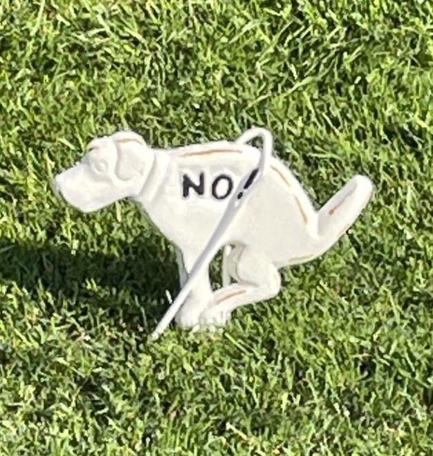 Down The Well Productions tweet media