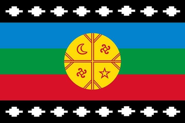 MartinPino tweet media