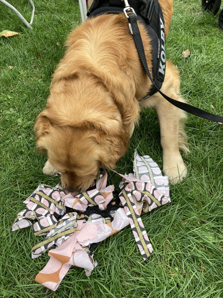 KenParkFriends's tweet photo. It’s happening! 🐶 Never mind the rain! Put your raincoat on &amp; join us in the park for our DOG SHOW!! Until 4pm. 
We’re here with @ThehoundhutO &amp; Paws &amp; Pause. There’s face-painting, quizzes &amp; games, &amp; cupcakes!
 #dog #dogs #dogshow #kennington #kenningtonpark #fokp #loveyourpark https://t.co/5GhUwAtY3H