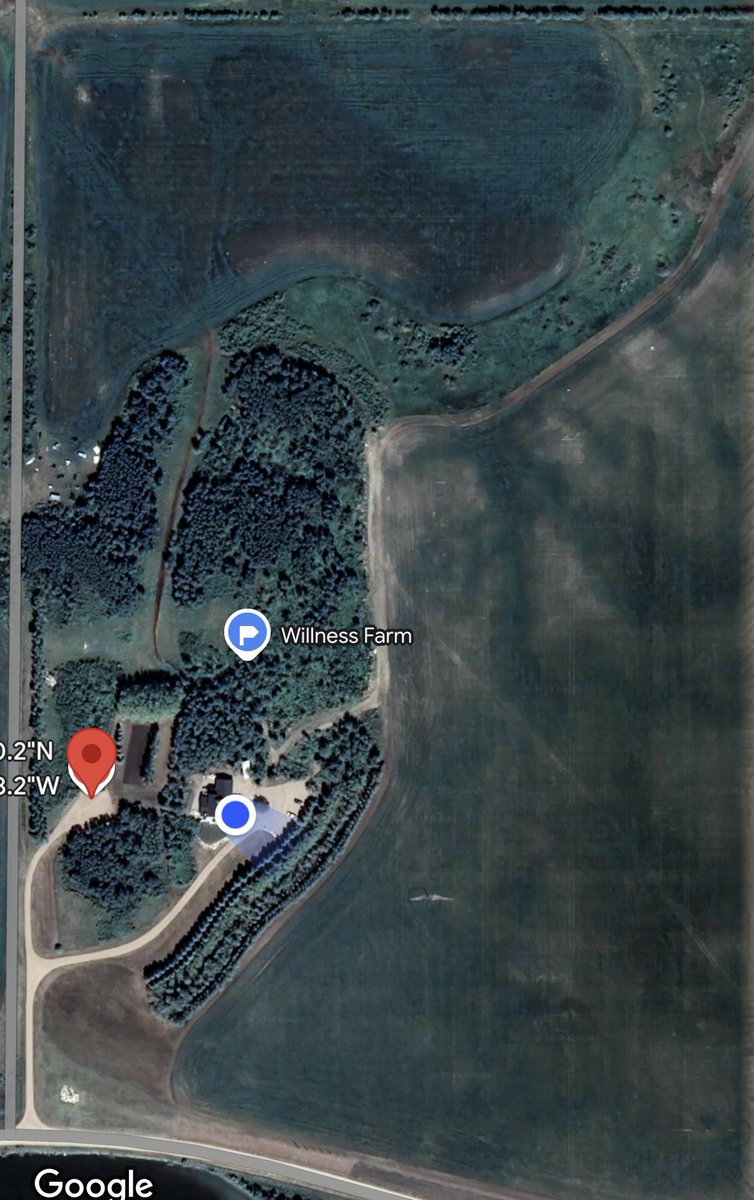 CropProCory's tweet photo. Our #homequarter - farm yard site is 40 acres - mixture of tree plantings and natural habitat such as hills, grassed runway. Rest of quarter has been alfalfa for 2 years now. Whats your farm yard site like? https://t.co/GShYXAMhBi