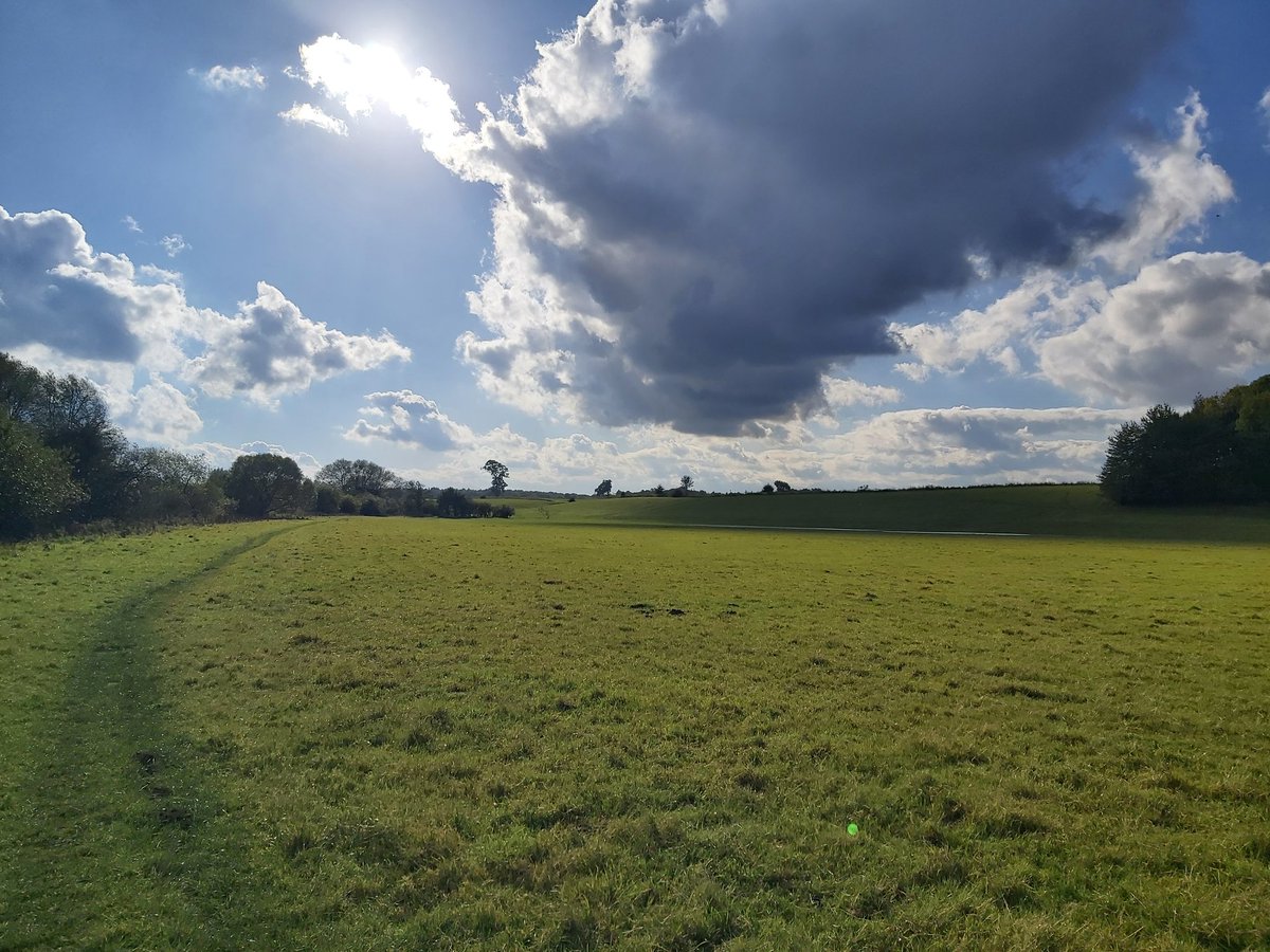 #walking