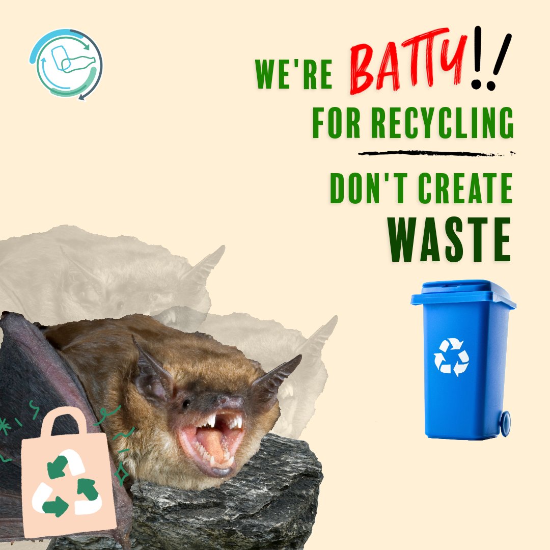 TimeToRecycle's tweet image. North Central Texas is batty for recycling! Recycling your cardboard boxes can help save #valuable space in your local landfill… they aren’t #limitless!

#Bat #Landfill #TTR #Waste #KWTT #KnowWhatToThrow #TimeToRecycle
