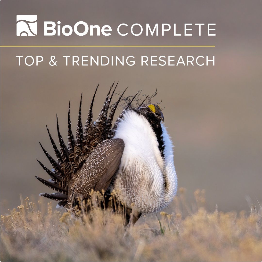 BioOneNews's tweet image. Discover free Top & Trending Research from BioOne Complete—with articles exploring #BiodiversityConservation, #Ecology, #Ornithology, #PlantSciences, #Zoology, and more.
This collection is free to read through December 31: ow.ly/eVVa50TK5nk