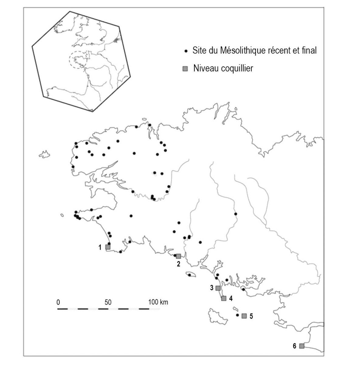 Société préhistorique française tweet media