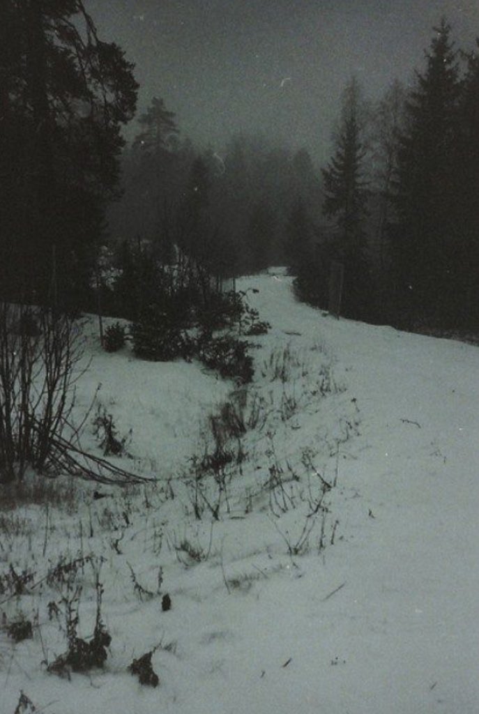 “i realized that sorrow is an important word for defining the world. it lies at the foundations of everything, it is the fifth element, the quintessence.” olga tokarczuk, drive your plow over the bones of the dead