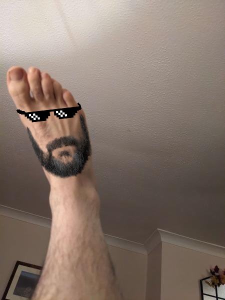 NakedCatsClub (@nakedcatsclub) on Twitter photo 