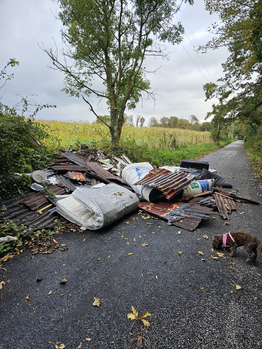 gbutty1978's tweet photo. @KnowsleyCouncil This is an almost daily occurrence now in Mill Lane, Knowsley Village 🤬 CCTV urgently needed. https://t.co/HZHRSwi4ib