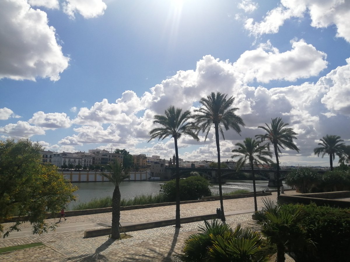 AlvarVillalobos's tweet photo. Feliz #DiaDeLaHispanidad
#12DeOctubre 🇪🇸🇪🇸🇪🇸🇪🇸 https://t.co/mc6PnxMOhQ