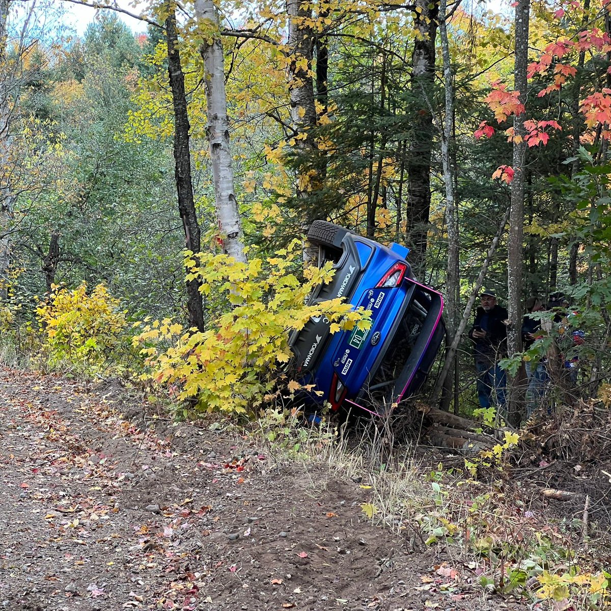DirtFish tweet media