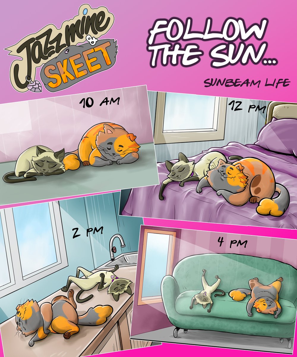 JazzmineBudge's tweet photo. #sunbeams on a sunny #Caturday are #thebest after eating a #CountryBreakfast. Have a great Saturday loves. 😘 https://t.co/TYMCAXtaY2