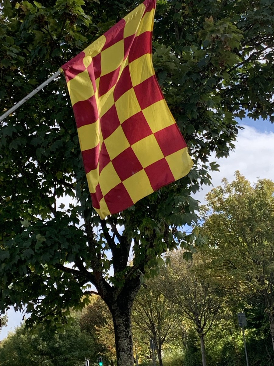 Ronan Doohan tweet media