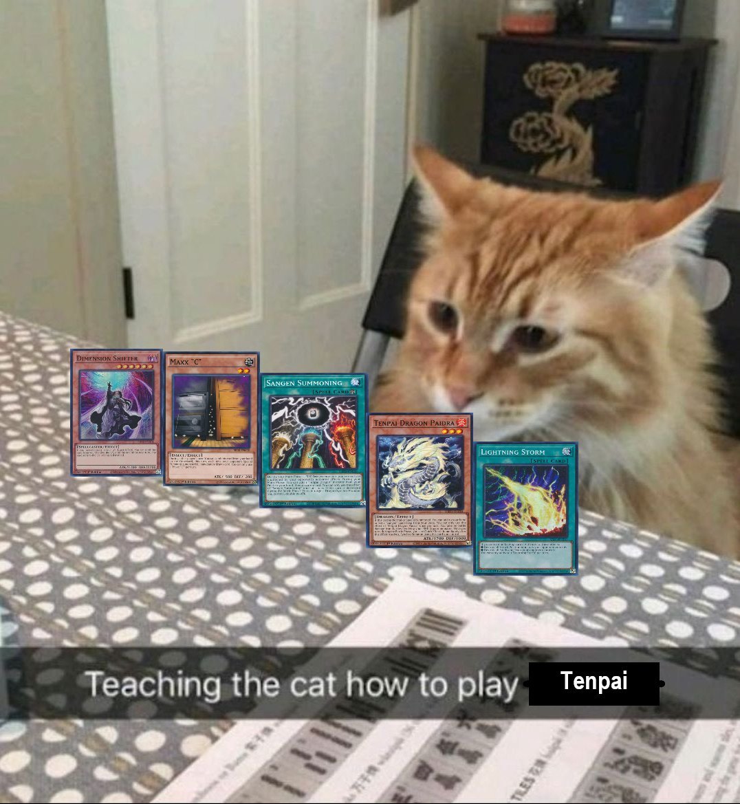 Raycorra (@raycorra) on Twitter photo 