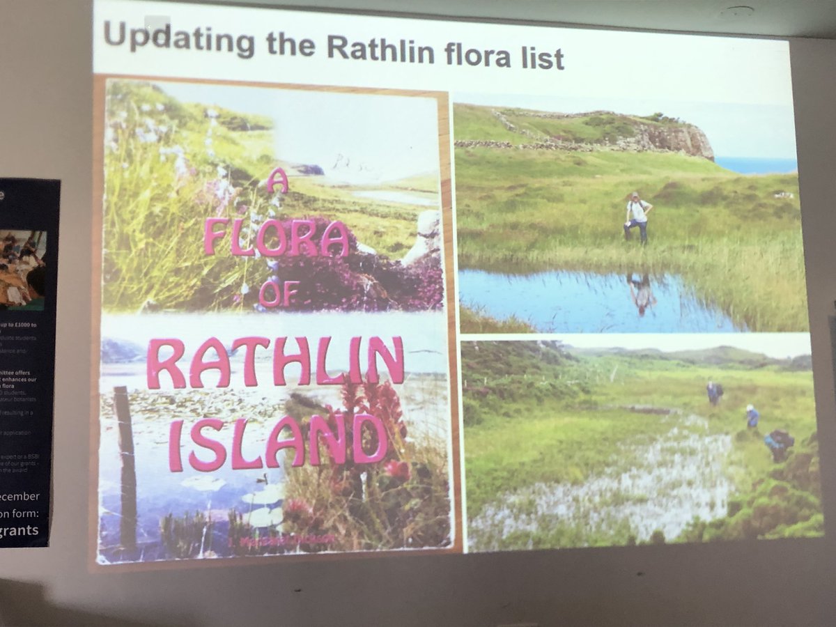 Julia Hanmer tweet media