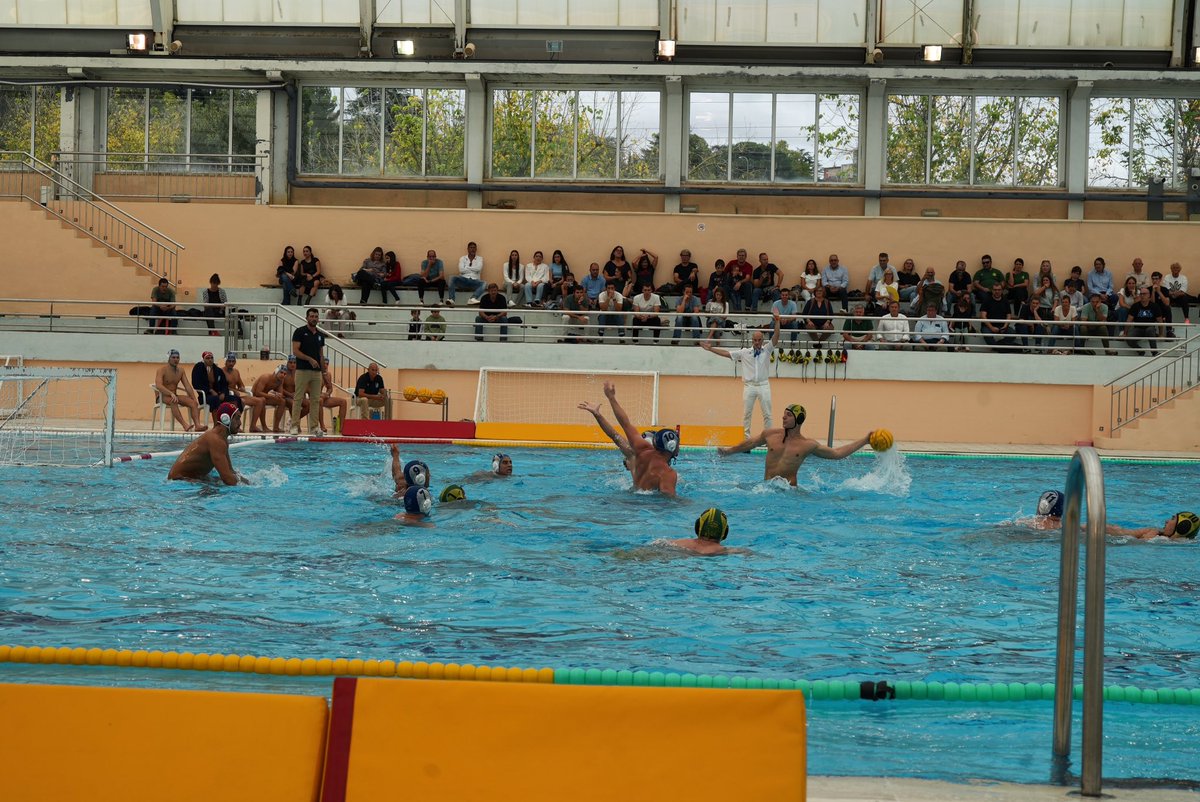 Waterpolo Navarra tweet media
