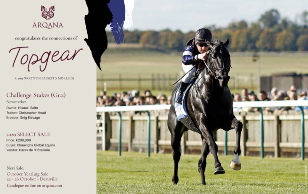 👏🏼 <a href="/InfoArqana/">ARQANA</a> congratulates the connections of TOPGEAR, winner of the G3 Challenge Stakes! A graduate of the 2020 Select Sale.