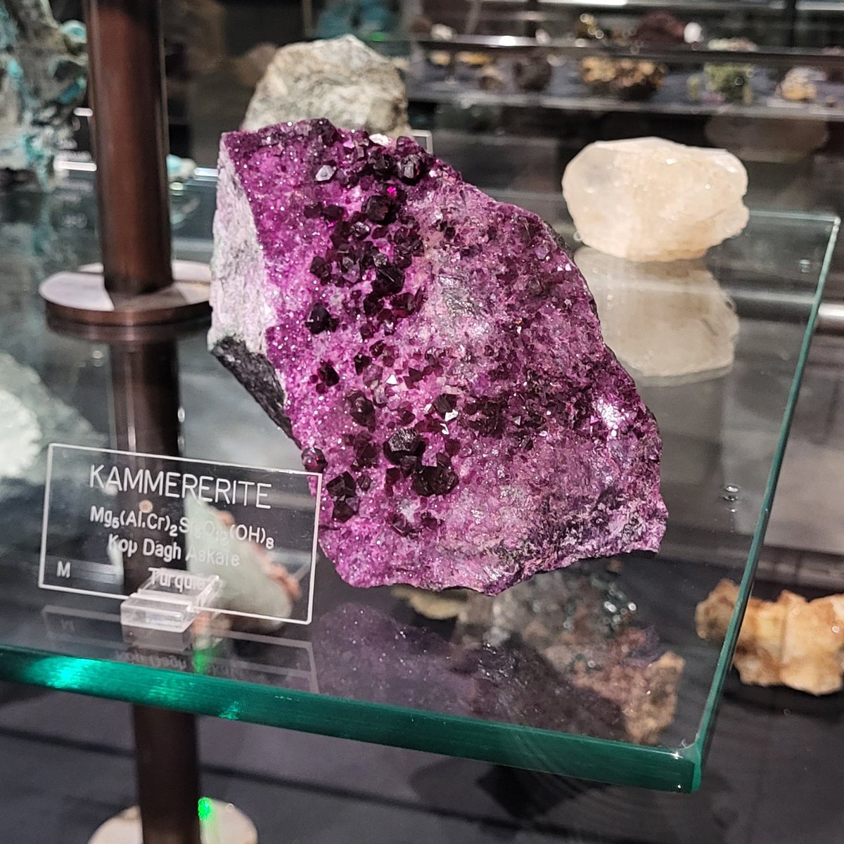 Sorbonne Université tweet media