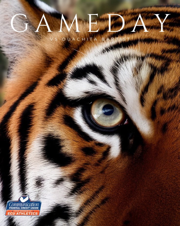 GET UP IT’S GAMEDAY❕
#BeTheStandard

🆚 Ouachita Baptist
🏟️ Cliff Harris Stadium
⏰ 12:00 PM