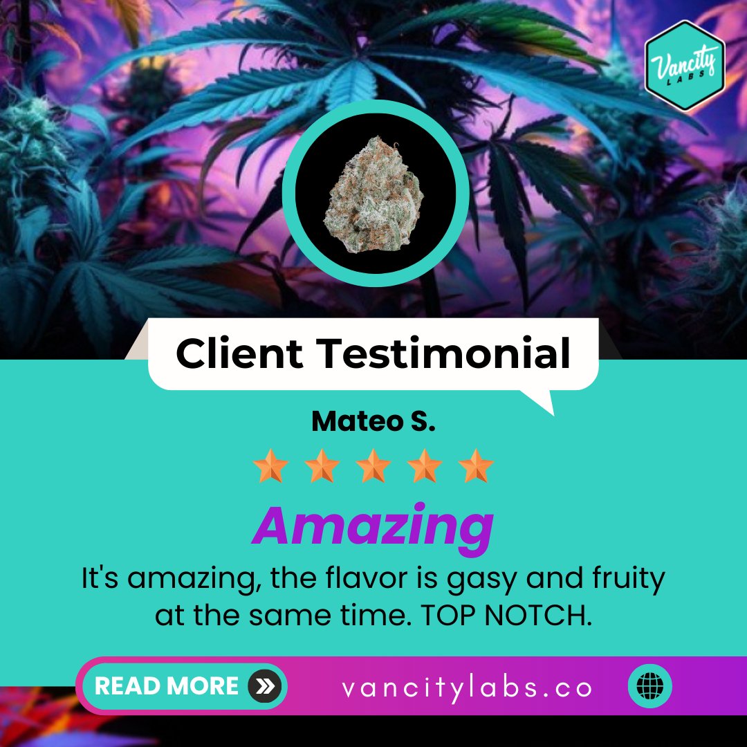 vancitylabsco's tweet image. 🚀 Client Testimonial Alert 🚀
Mateo S. says: "It’s amazing! The flavor is gassy and fruity at the same time. TOP NOTCH." 🌱🔥👌

🌐vancitylabs.co/product/froste…

#CustomerLove #Testimonial #TopNotch #FlavorBurst #HappyCustomer