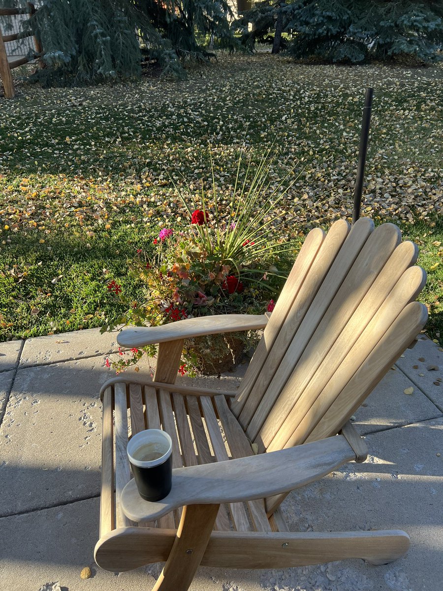 DeniseKShull's tweet image. Nice to be 🏠! #morningsunlight #autumn