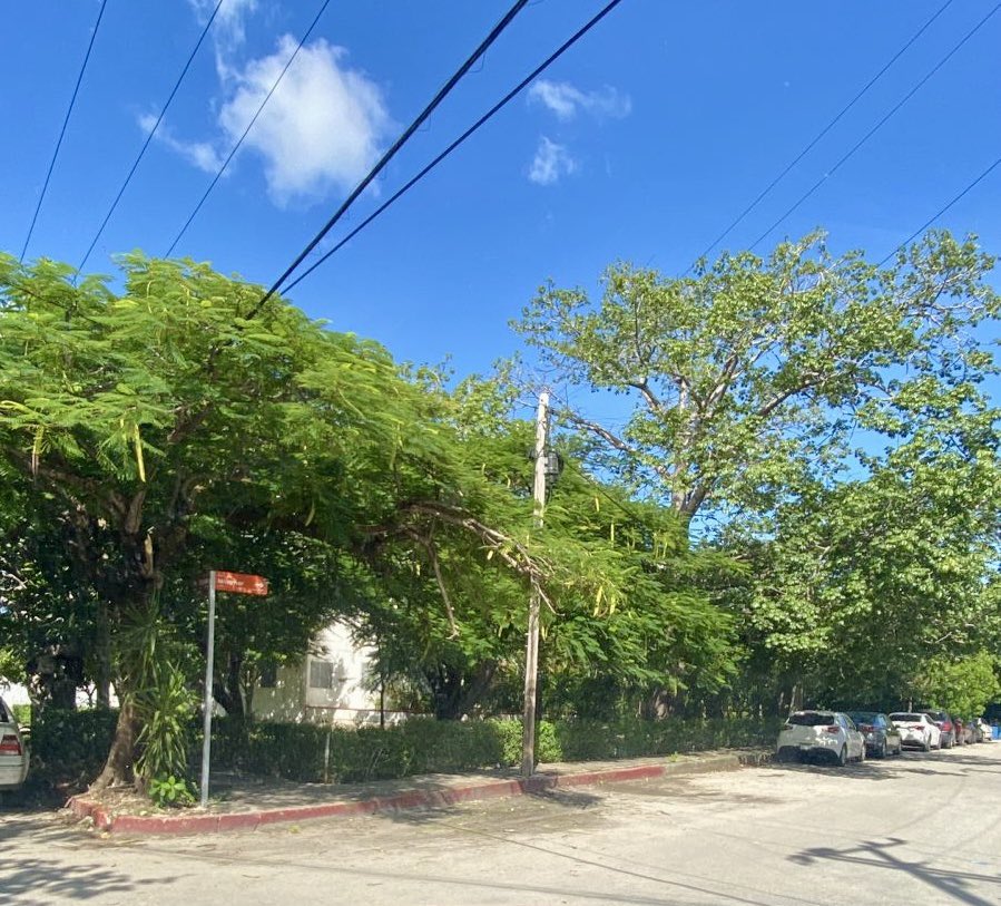 Por favor corrijan estás señalizaciones nuevas en la SM15. Aquí debe de decir “Miramar PONIENTE”. Este error puede ser grave para los residentes. <a href="/AnaPatyPeralta/">Ana Paty Peralta</a> <a href="/MaraLezama/">Mara Lezama</a> <a href="/ComiteSm15/">Comite  Vecinos Sm15</a> <a href="/BaezCanino/">Carmen Baez</a>