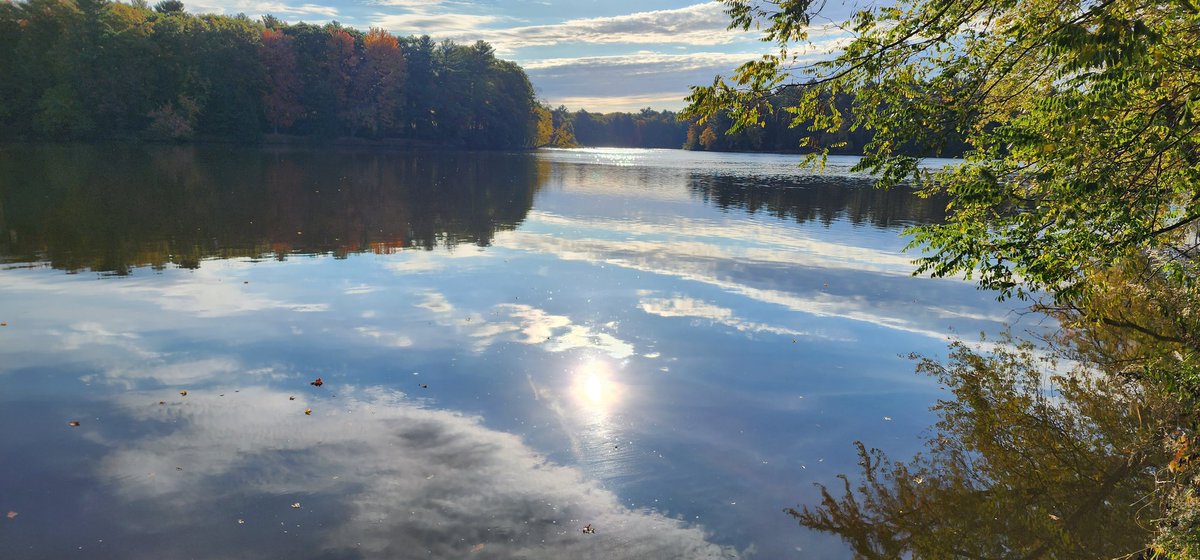 400ftScott's tweet photo. #fallcolors
#wisconsinriver
Central Wisconsin https://t.co/J4BYxGmXJ5