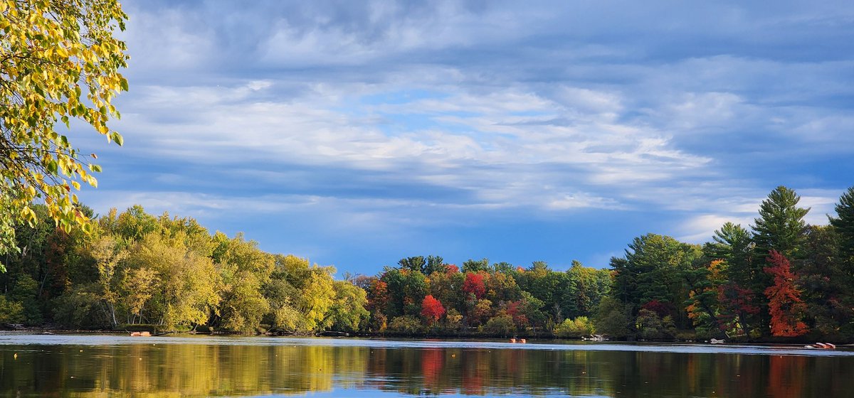 400ftScott's tweet photo. #fallcolors
#wisconsinriver
Central Wisconsin https://t.co/J4BYxGmXJ5