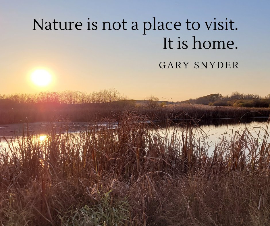 Wishing you all an enjoyable Thanksgiving weekend, shared with those you love and a sense of peace and comfort that “home” brings, in all its forms. 🧡💛🤎💚🍁🍂🌻🦆🐞🏈