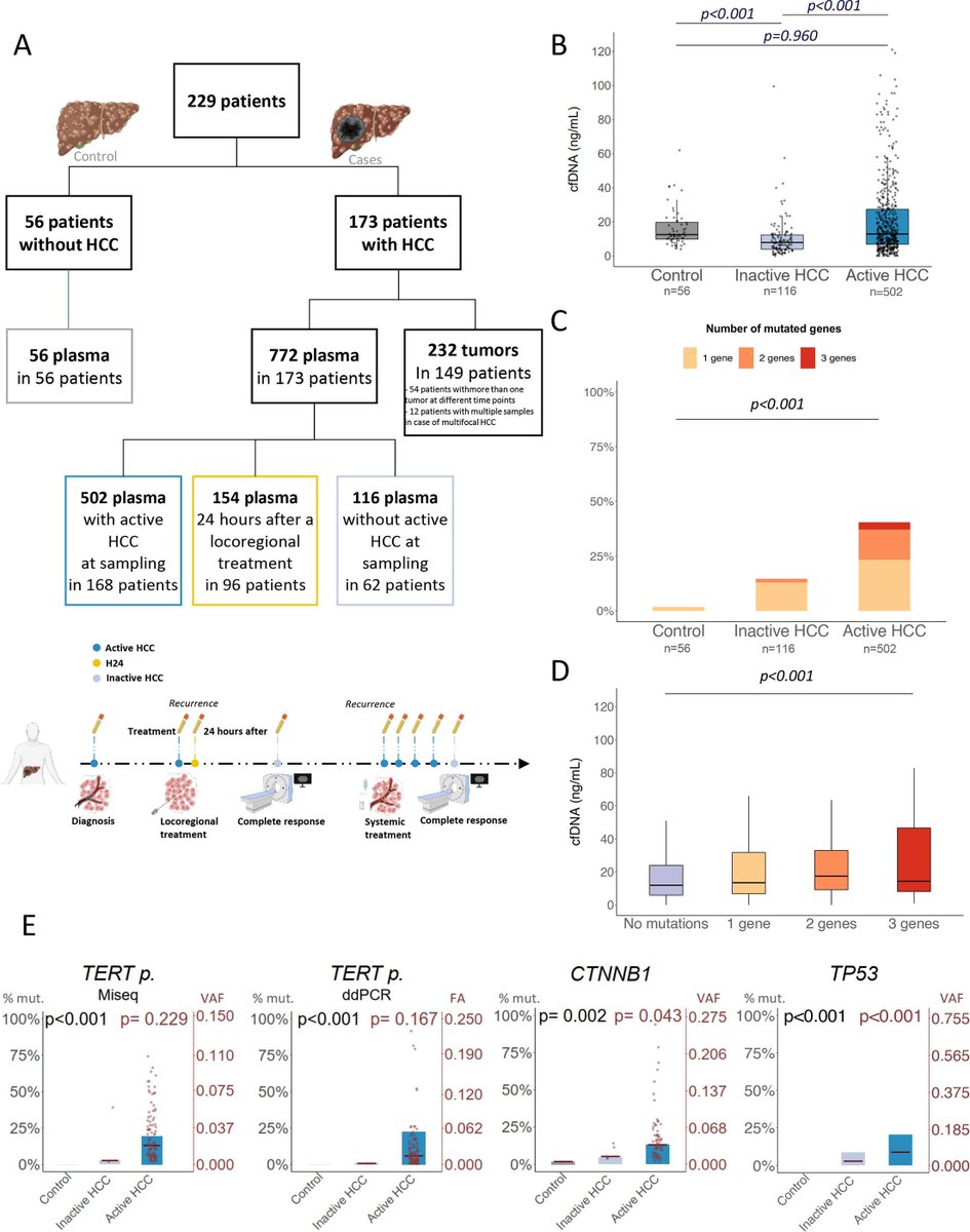Gut Journal (@gut_bmj) on Twitter photo #GUTImage from the paper by <a href="/campani_claudia/">Claudia Campani</a> et al
"Circulating tumour DNA in patients with hepatocellular carcinoma across tumour stages and treatments" via
bit.ly/40gASen
<a href="/Zucmanrossi/">Jessica Zucman-Rossi</a> <a href="/NaultJc/">Jean-Charles Nault</a> #HCC #GUTImage from the paper by <a href="/campani_claudia/">Claudia Campani</a> et al
"Circulating tumour DNA in patients with hepatocellular carcinoma across tumour stages and treatments" via
bit.ly/40gASen
<a href="/Zucmanrossi/">Jessica Zucman-Rossi</a> <a href="/NaultJc/">Jean-Charles Nault</a> #HCC