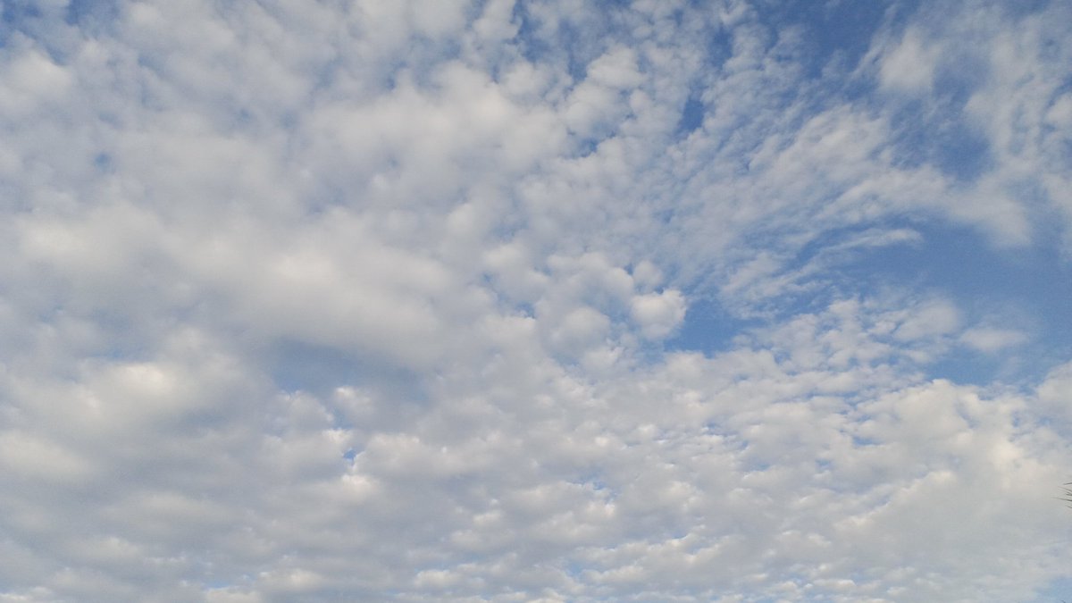 IsaPiusBrax's tweet photo. As the day winds down, let’s reflect on the impact we’ve made and look forward to what we can achieve tomorrow.
Every effort counts in building a sustainable future.
#EveningThoughts
#Sustainability
#ClimateAction #HopeForTomorrow
#Solarpunk
#SolarpunkUg https://t.co/45Y0cp5FZI