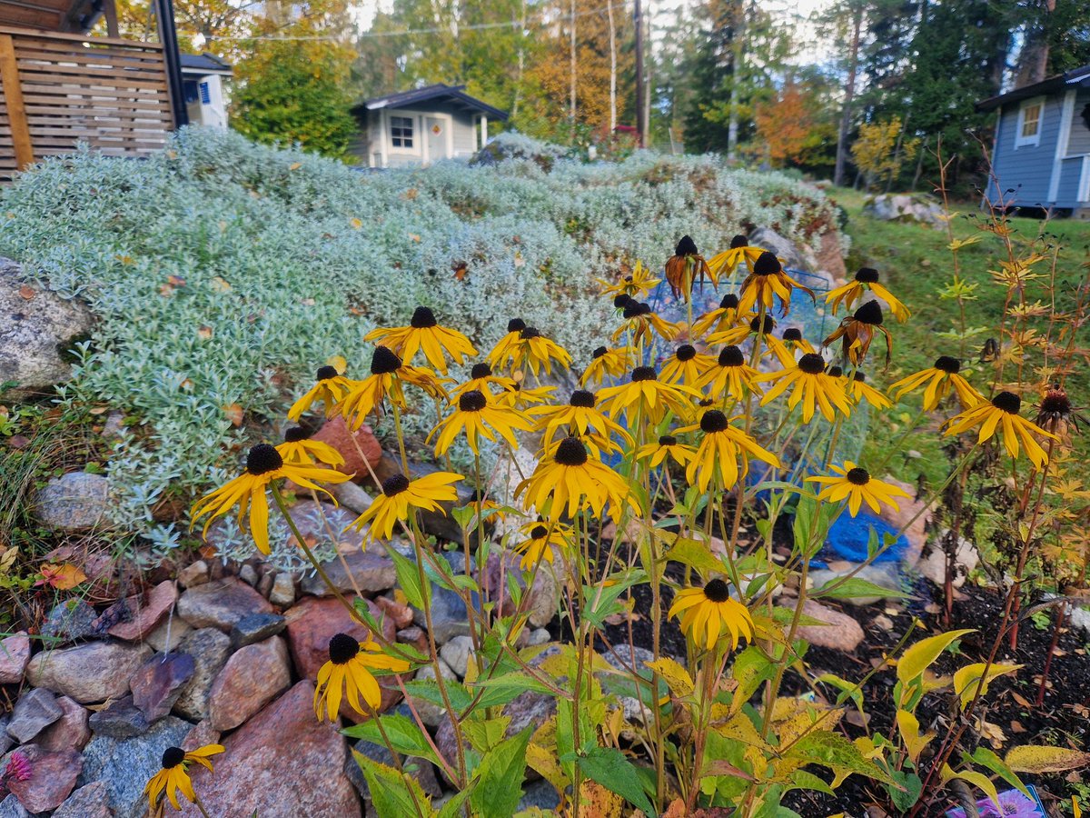 Vickiboukasott's tweet photo. Hösten är här 🍁🍃🍂🔥 o jag älskar höst 🍂🍃🍁🔥#höst #sverige #roslagen #vätö https://t.co/aD6OmKuqFm