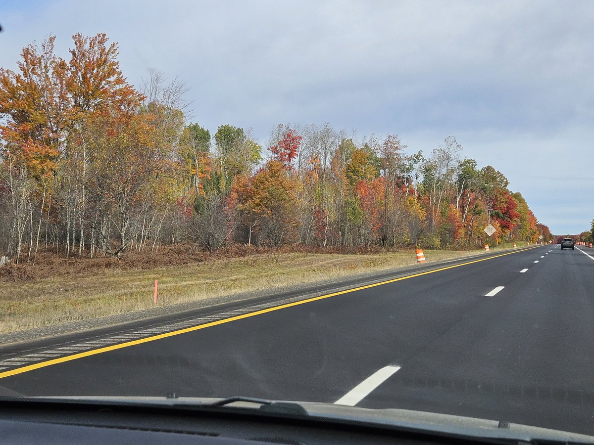 czvnwd's tweet image. Heading north to see some color.
#TunnelOfTrees