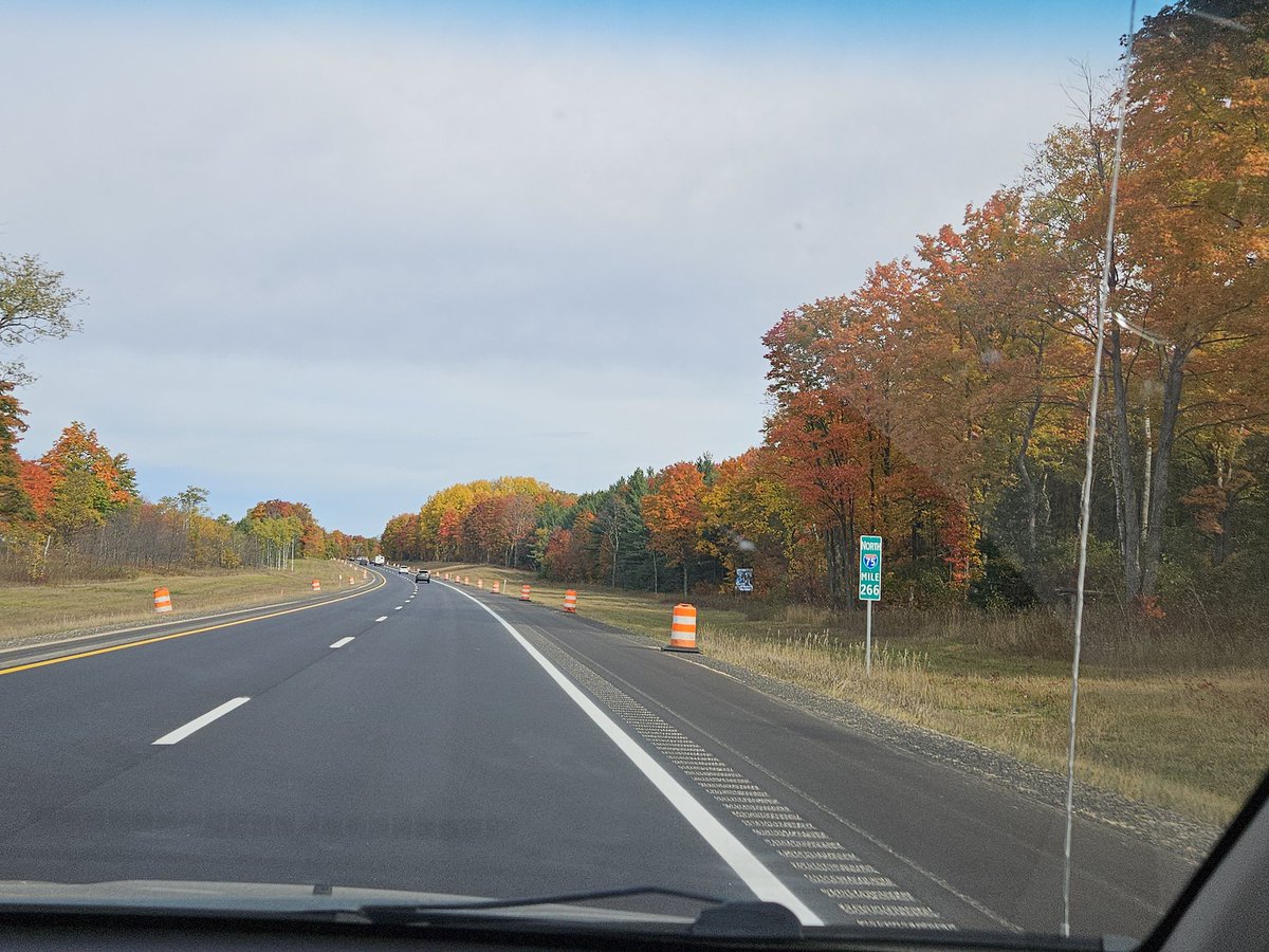 czvnwd's tweet image. Heading north to see some color.
#TunnelOfTrees