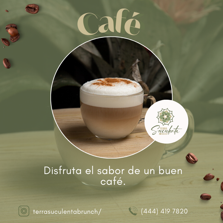 TerraSuculentaB's tweet image. Cada sorbo es una invitación a disfrutar el momento. ¡Ven y prueba el mejor café de San Luis Potosí!

#CaféQueInspira #TerraSuculentaBrunch #DisfrutaElMomento #SanLuisPotosí