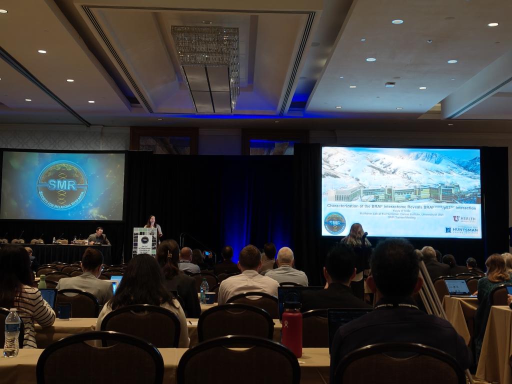 daniela_oaks's tweet image. We are listening to @kaytool from @MaxTheSFCat's lab @huntsmancancer, one of the winners of the popular vote in the #TraineeMeeting, talk about her project on BRAF V600E interactions with TP53 @SocietyMelanoma