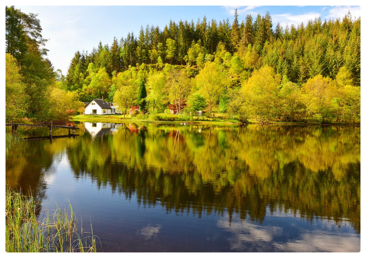 Fly - Caledonia (@francismcc33178) on Twitter photo Loch Ard Aberfoyle...Just about to turn autumnal ๐ a stunning setting & house set in the Loch Lomond National Park <a href="/tours_scotland/">Discover Scotland</a> <a href="/Scottish_Banner/">The Scottish Banner</a> <a href="/lomondtrossachs/">Loch Lomond & The Trossachs</a> <a href="/VisitScotland/">VisitScotland</a> <a href="/ScotsMagazine/">ScotsMagazine</a> #VistScotland #Scotland #Loch <a href="/BBCScotWeather/">BBC Scotland Weather</a> #Trossachs Loch Ard Aberfoyle...Just about to turn autumnal ๐ a stunning setting & house set in the Loch Lomond National Park <a href="/tours_scotland/">Discover Scotland</a> <a href="/Scottish_Banner/">The Scottish Banner</a> <a href="/lomondtrossachs/">Loch Lomond & The Trossachs</a> <a href="/VisitScotland/">VisitScotland</a> <a href="/ScotsMagazine/">ScotsMagazine</a> #VistScotland #Scotland #Loch <a href="/BBCScotWeather/">BBC Scotland Weather</a> #Trossachs