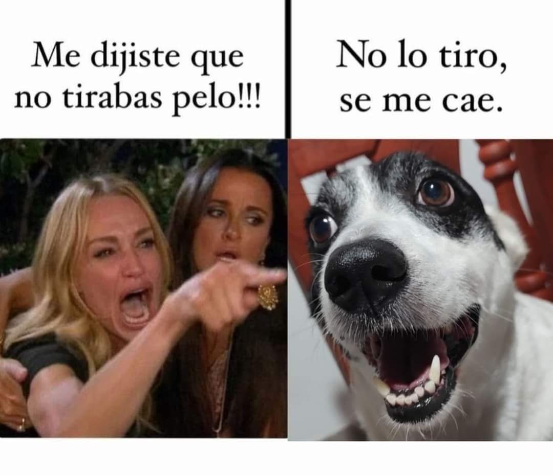 El Meme tweet media